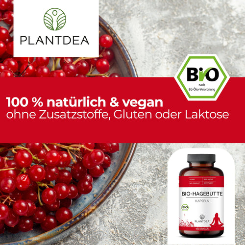 Bio Hagebutte Kapseln