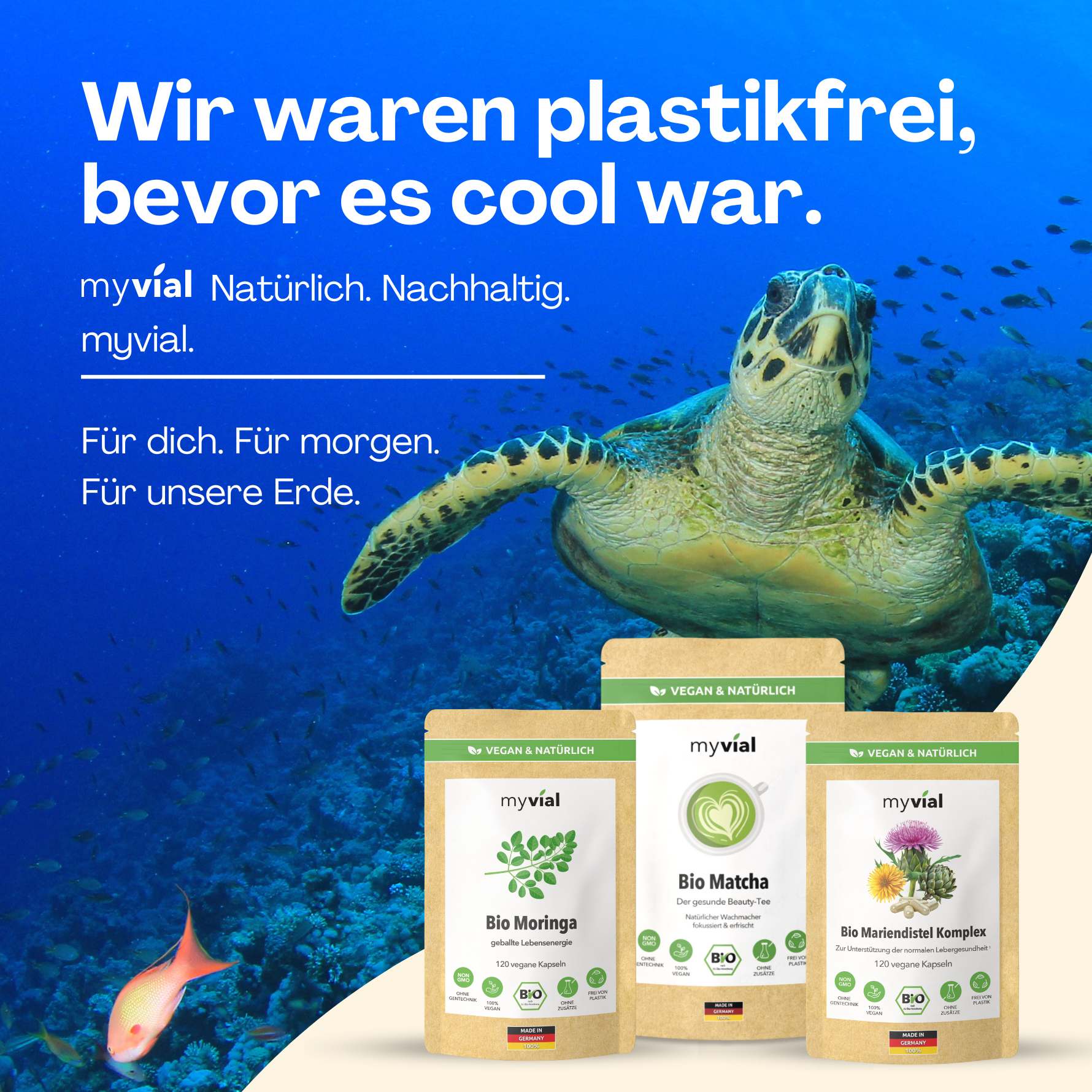 Bio Hericium Kapseln Lionsmane