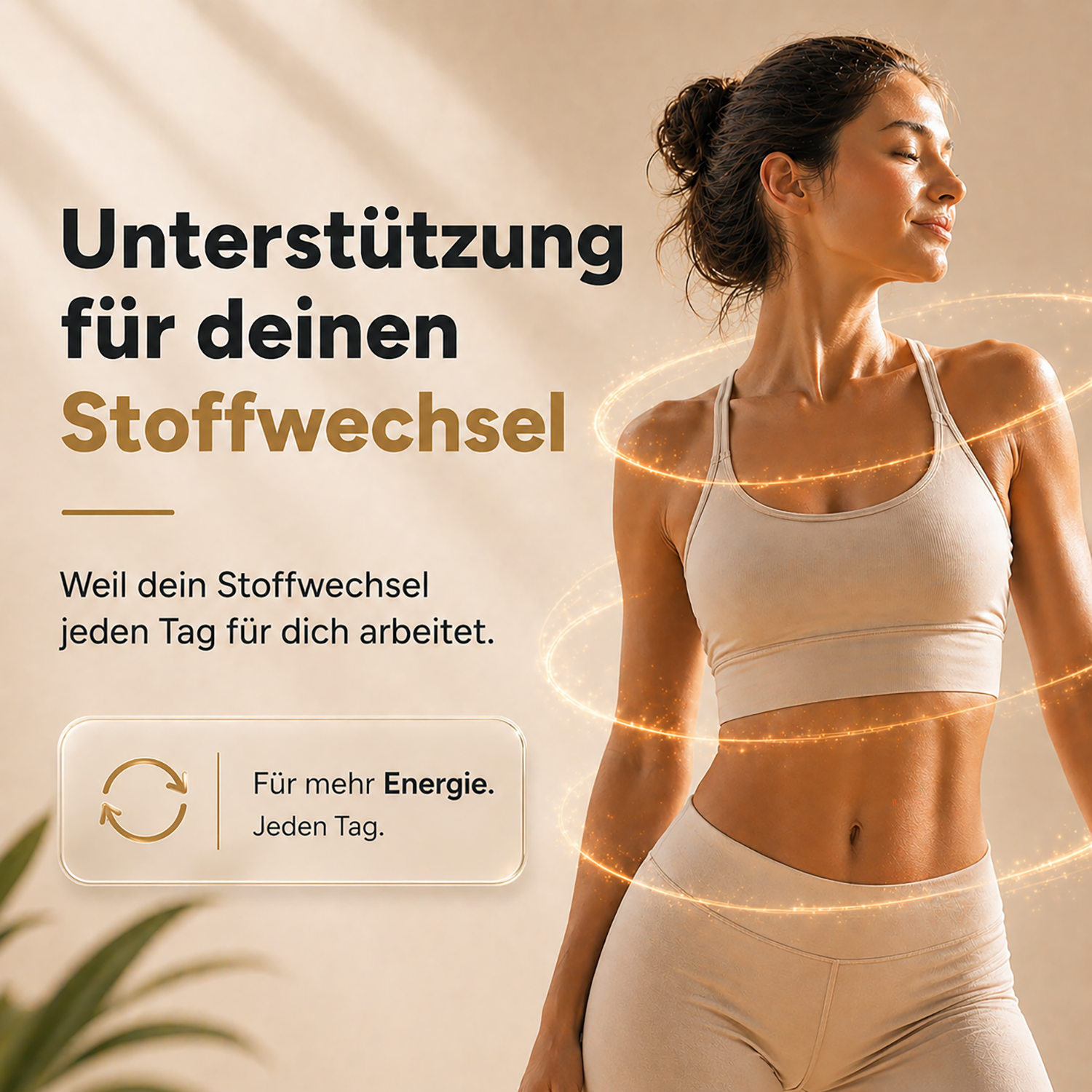 Stoffwechsel Plus – Stoffwechsel Komplex