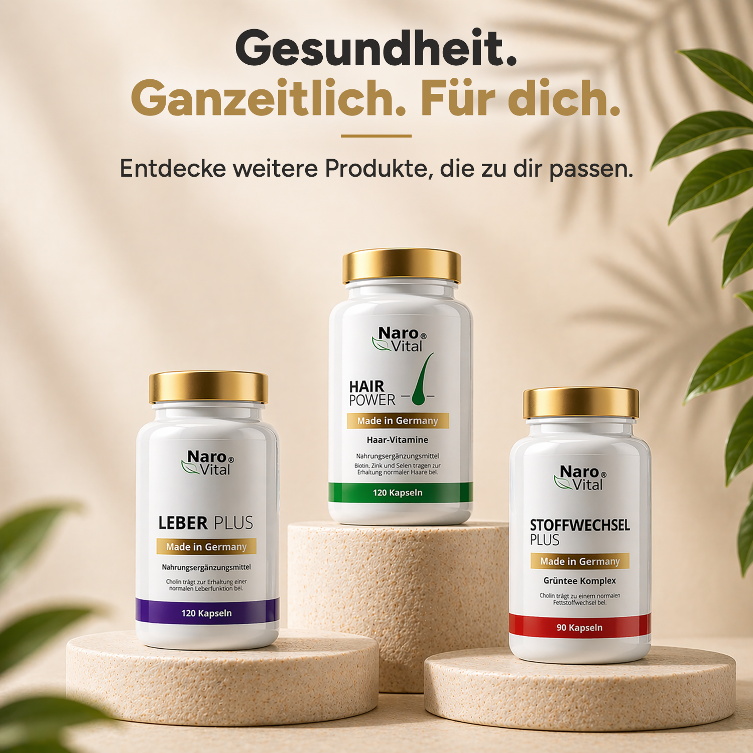Immun Formel - Immunsystem Komplex